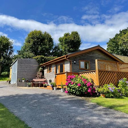Swansea Log Cabin Pontardawe Exterior photo