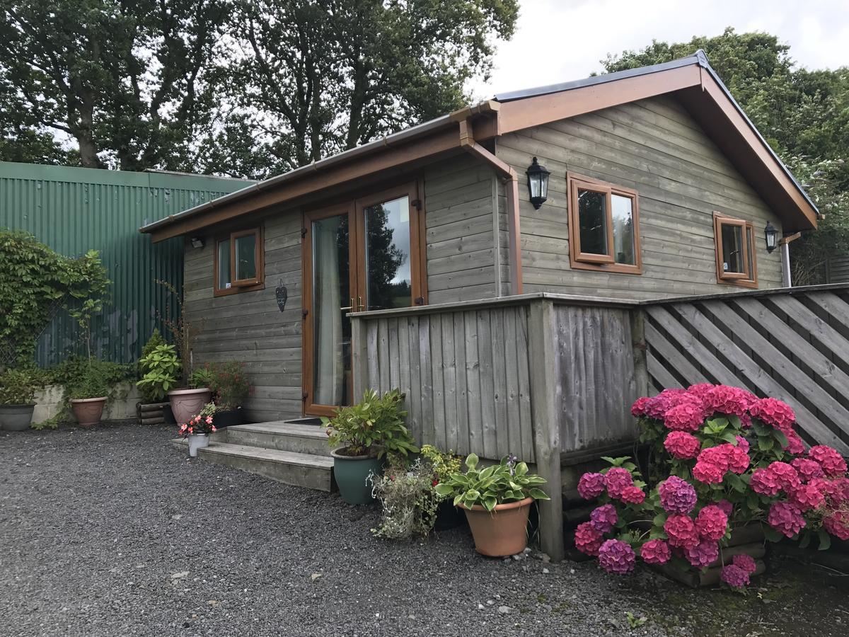 Swansea Log Cabin Pontardawe Exterior photo